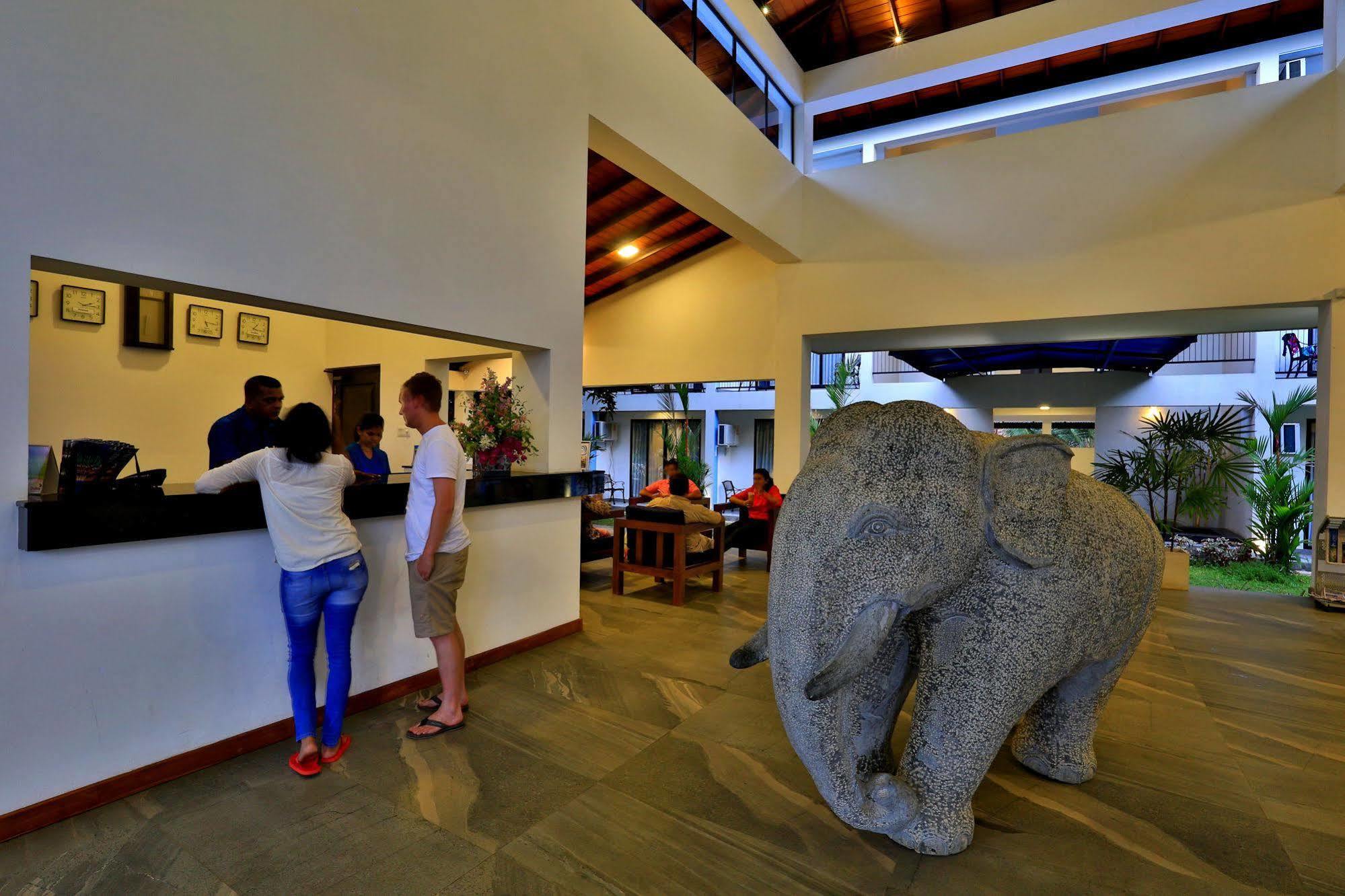 The Blue Wave Hotel Arugam Bay Εξωτερικό φωτογραφία